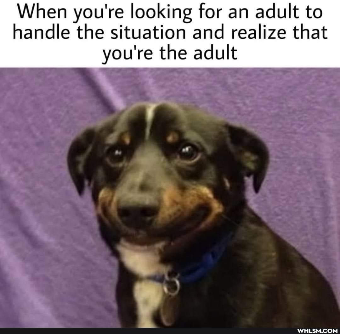 When you're looking for an adult to handle the situation and realize that you're the adult