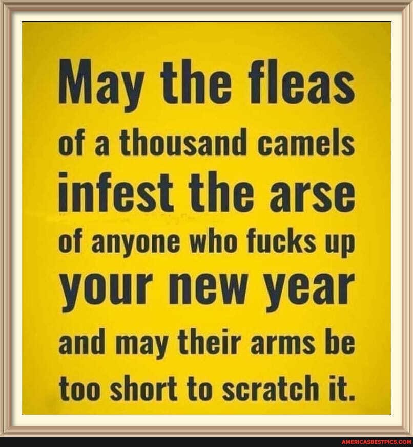 May the fleas of a thousand camels infest the arse
of anyone who fucks up your new year and may their arms be too short to scratch it.