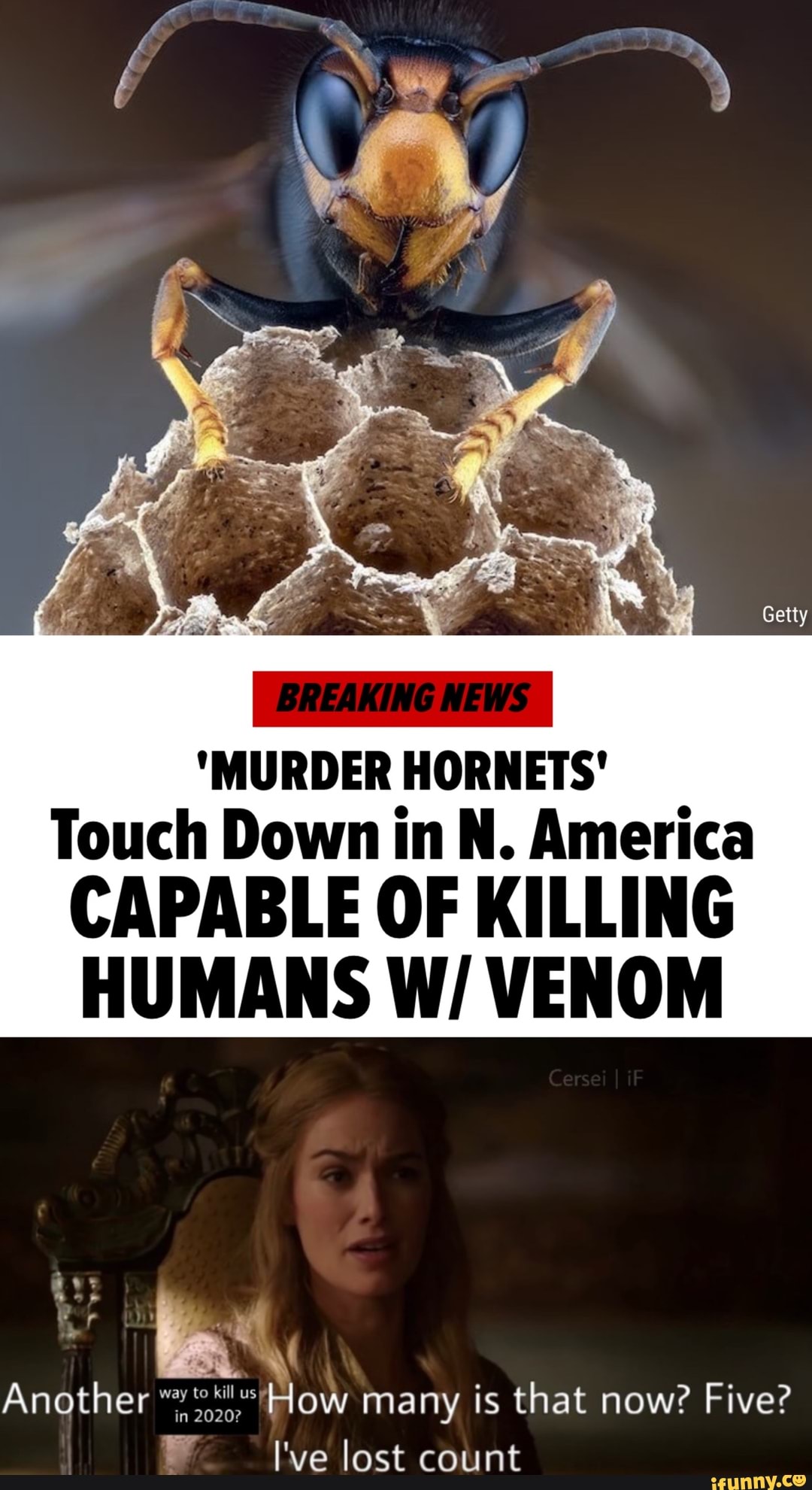"MURDER HORNETS'
Touch Down in N. America
CAPABLE OF KILLING
HUMANS W/ VENOM
Another "How many is that now? Five?
in 2020?
I've lost count