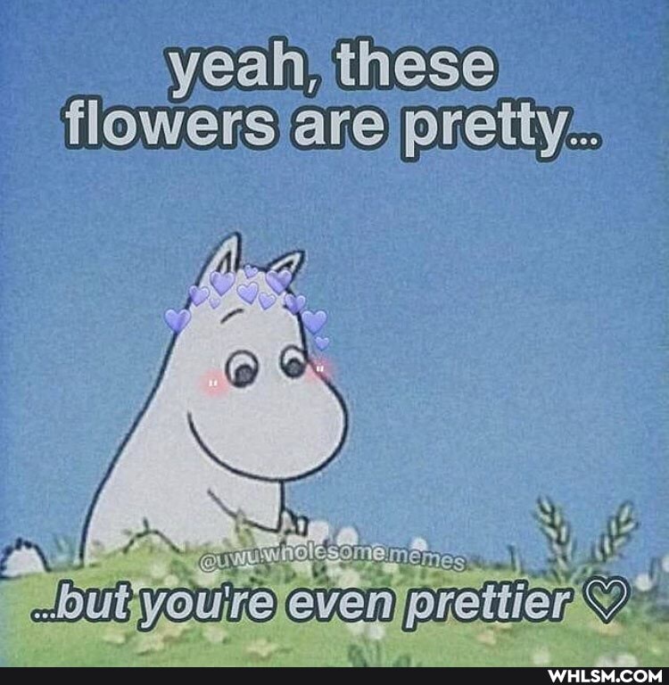 yeah' these
flowers are pretty...