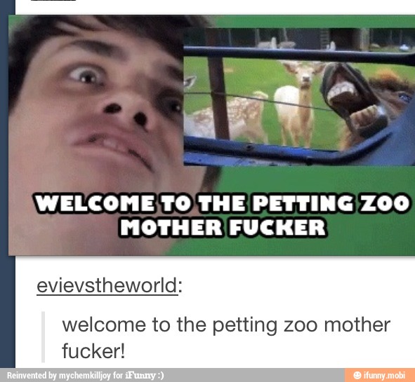 WELCOME TO THE PETTING ZOO
MOTHER FUCKER
evievstheworld:
welcome to the petting zoo mother
fucker!