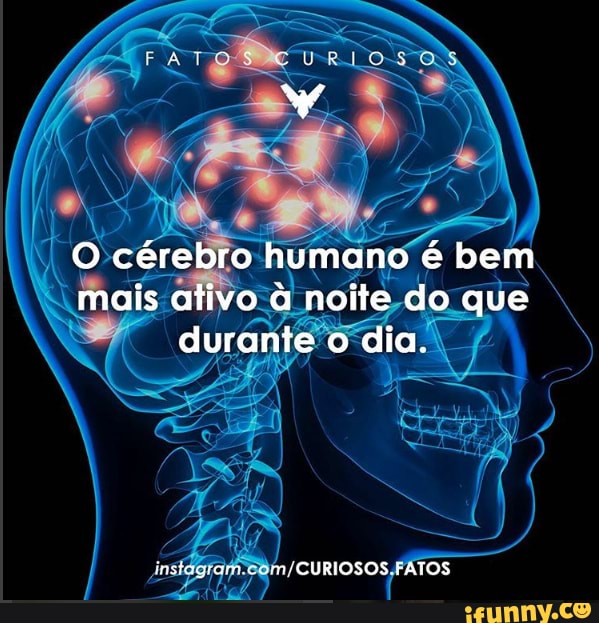 O cérebro humano é bem mais ativo à noite do que durante o dia.
instegremmoc mm CURIOSOS FATOS
