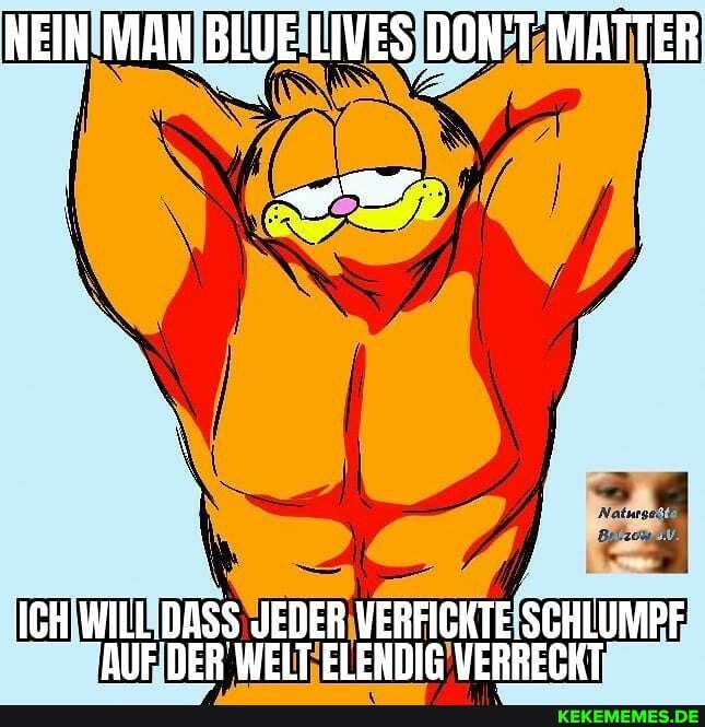 BLUE LIVES DON'T MATTER
ww
ICH WILL JEDER VERFICKTE: SCHLUMPF
~AUEDER WELT ELENDIG VERRECKT