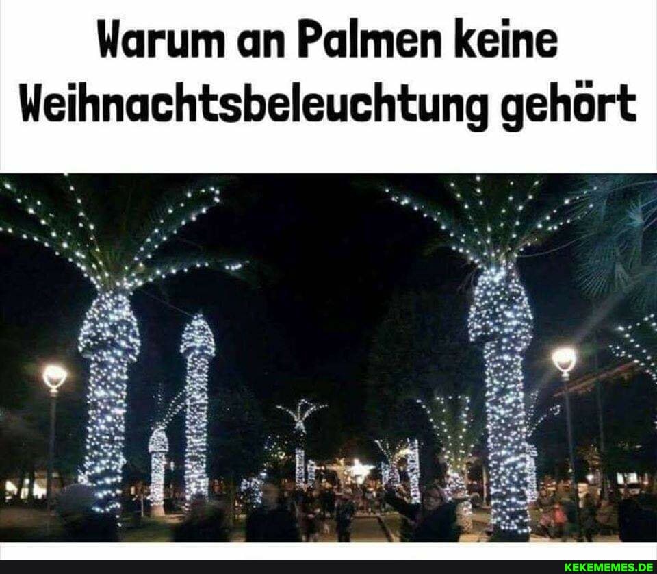 Warum an Palmen keine
Weihnachtsbeleuchtung gehört