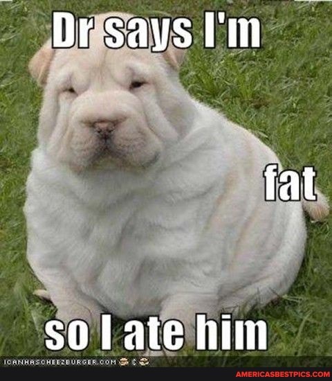 Drsays lm
fat
sofate him