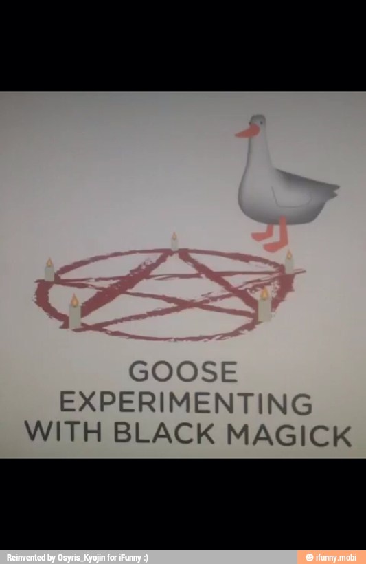 GOOS
EXPERIMENTING
WITH BLACK MAGICK
