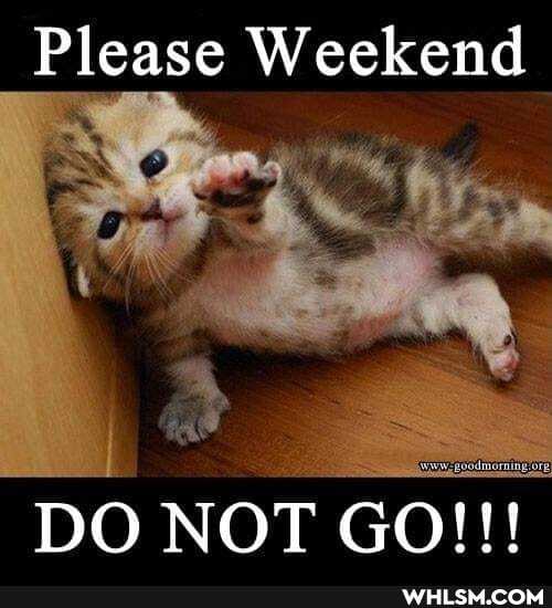 Please Weekend
DO NOT GO!!!
