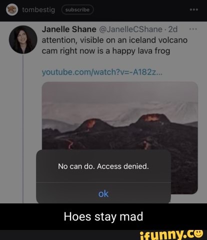 Janelle Shane @Janel attention, visible on an iceland volcano cam right now is a happy lava frog
No can do. Access denied.
ok
Hoes stay mad