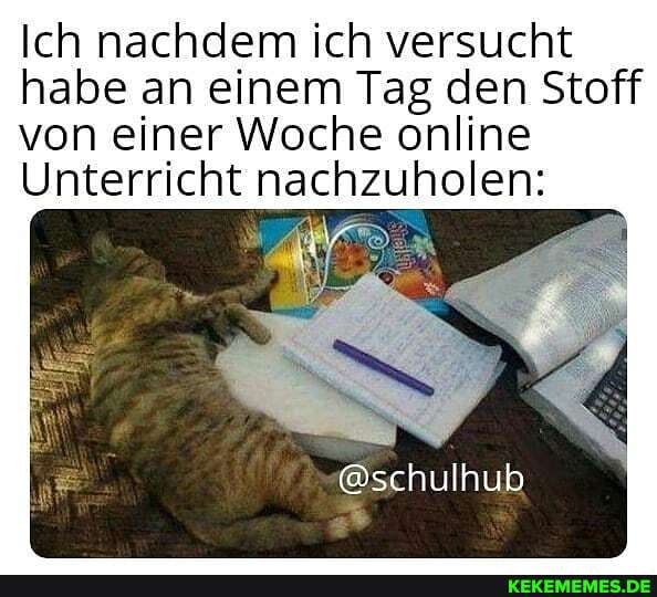 Ich nachdem ich versucht habe an einem Tag den Stoff von einer Woche online
Unterricht nachzuholen:
@schulhub