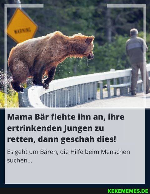 Mama Bär flehte ihn an, ihre ertrinkenden Jungen zu retten, dann geschah dies!
Es geht um Bären, die Hilfe beim Menschen suchen...