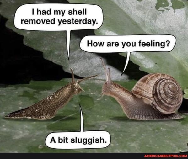had my shell removed yesterday.
YOU
ling?
A bit sluggish.