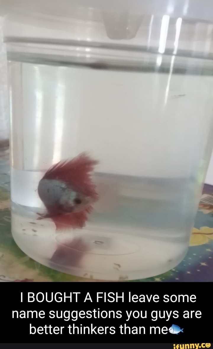 I BOUGHT A FISH leave some name suggestions you guys are better thinkers than me