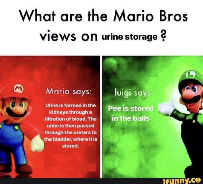 What Are The Mario Bros Views On Urine Storage? Mario Says: Urina Is ...