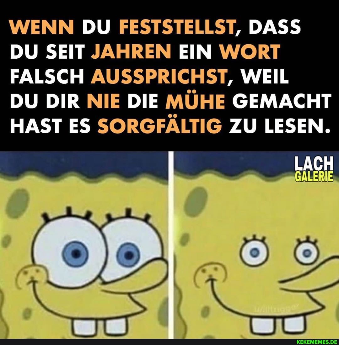WENN DU FESTSTELLST, DASS DU SEIT JAHREN EIN WORT FALSCH AUSSPRICHST, WEIL
DU DIR NIE DIE MÜHE GEMACHT HAST ES SORGFÄLTIG ZU LESEN.
LACH