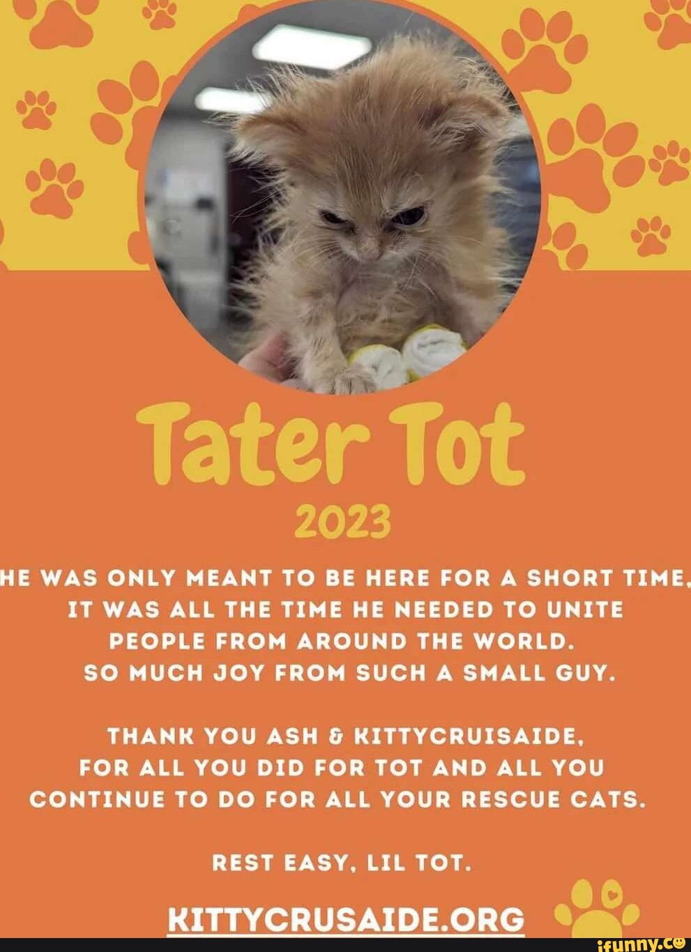 Tater Tot 2023 He Was Only Meant To Be Here For A Short Time It Was All The Time He Needed To 0960