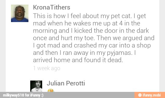This is how I feel about my pet cat. I get
mad when he wakes me up at 4 in the
morning and
I kicked the door in the dark
once and hurt my toe. Then we argued and
I got mad and crashed my car into a shop
and then I ran away in my pyjamas. I
arrived home and found it dead
Julian Perotti