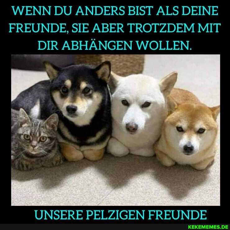 WENN DU ANDERS BIST ALS DEINE FREUNDE, SIE ABER TROTZDEM MIT DIR ABHÄNGEN WOLLEN,
IINISFRF DFI ERTT INNE