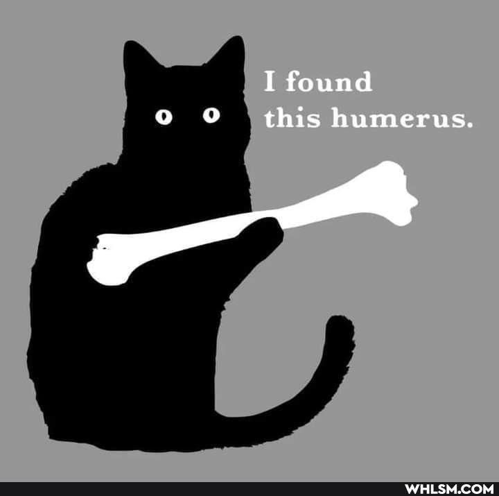 I found this humerus.