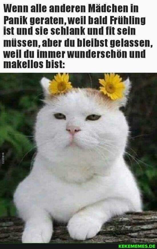 Wenn alle anderen Mädchen in
Panik geraten, weil bald Frühling ist und sie schlank und fit sein müssen, aber du bleibst gelassen, weil du immer wunderschön und makellos bist: