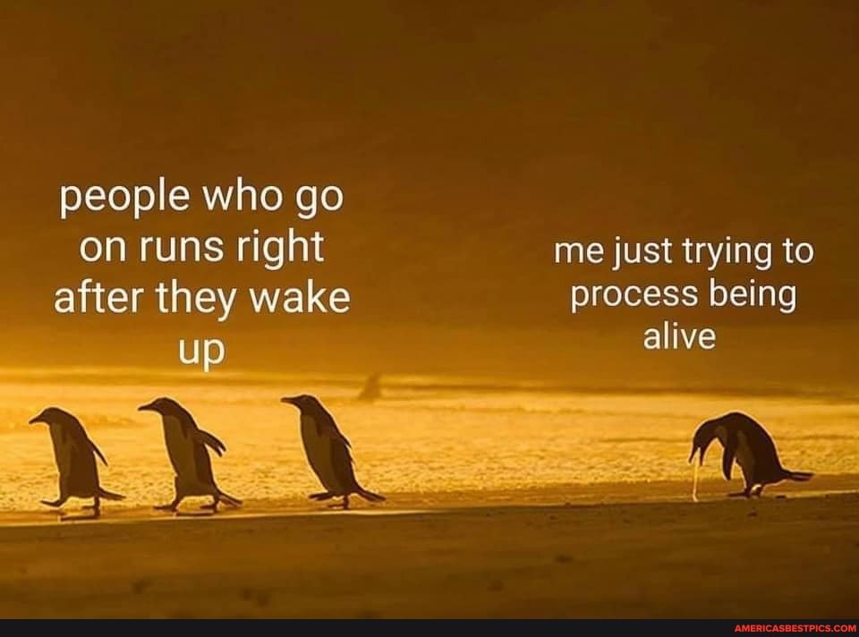 people who go on runs right after they wake
up
me just trying to process being alive