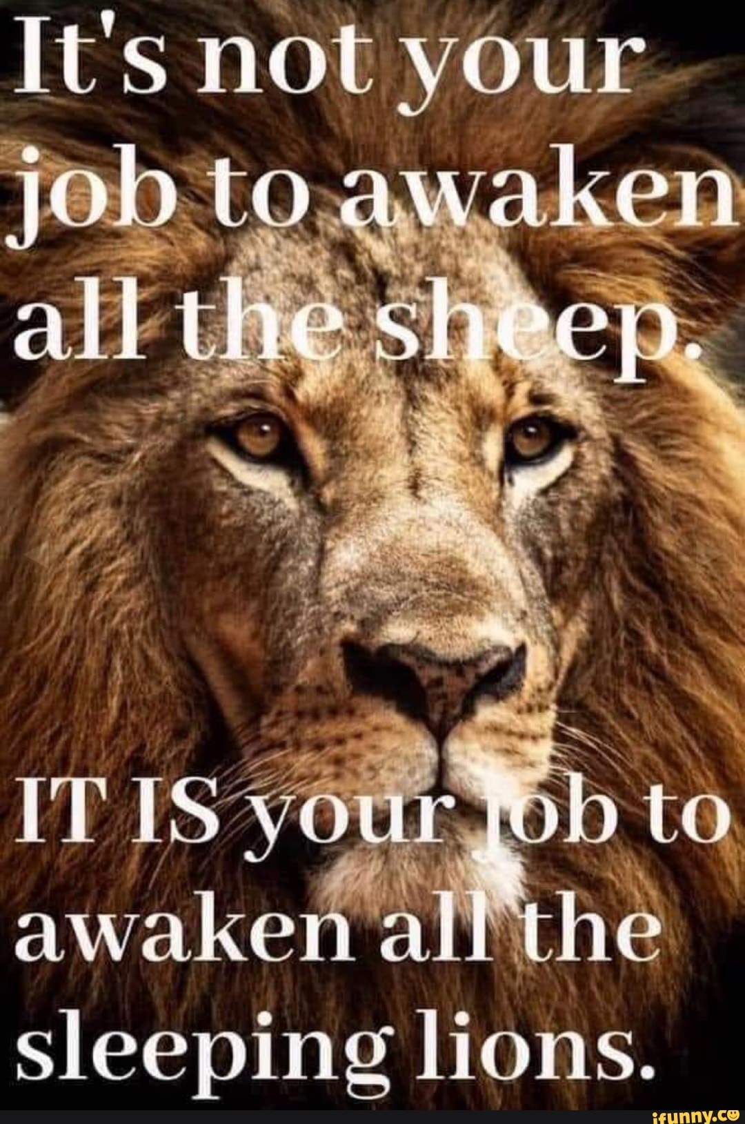 It S not your alll sheep. IT IS Ob to awaken alf the sleeping lions