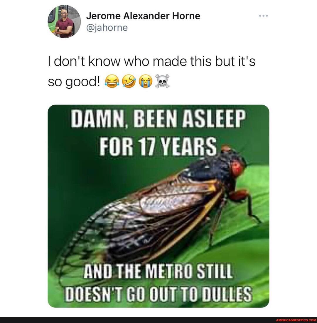 Jerome Alexander Horne
@jahorne
I don't know who made this but it's so good!
DAMN, BEEN ASLEEP FOR 17 YEARS
AND THE METRO STILL DOESN'T GO OUT TO DULLES