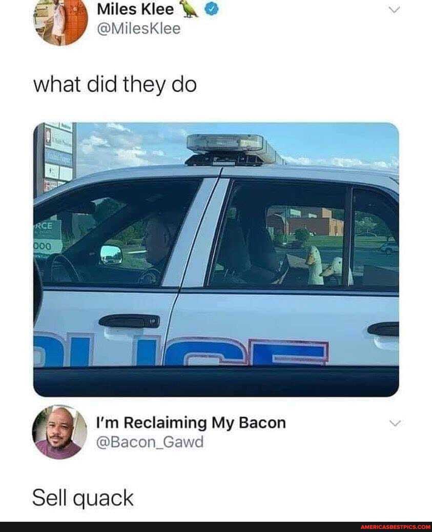 = 7}
Miles Klee
@MilesKlee
what did they do
(3 I'm Reclaiming @Bacon_Gawed My Bacon
Bacen Gasd
Sell quack