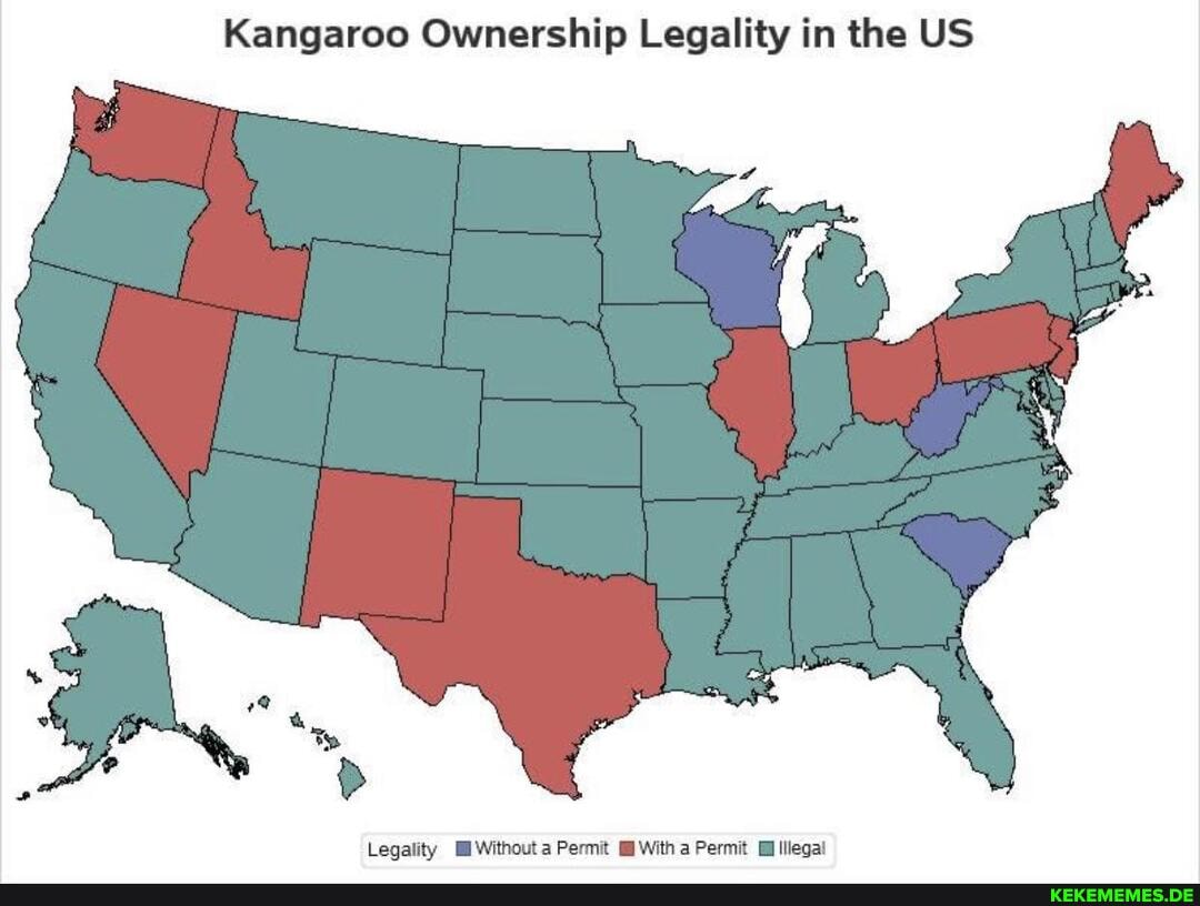 Kangaroo Ownership Legality in the US
Legality Mi Without a Permit With a Permit lllega!