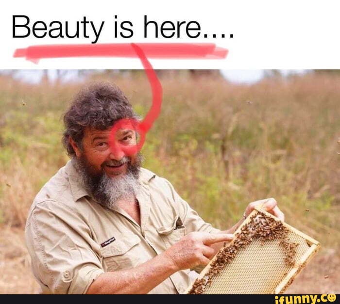 Bee_holder memes. Best Collection of funny Bee_holder pictures on iFunny