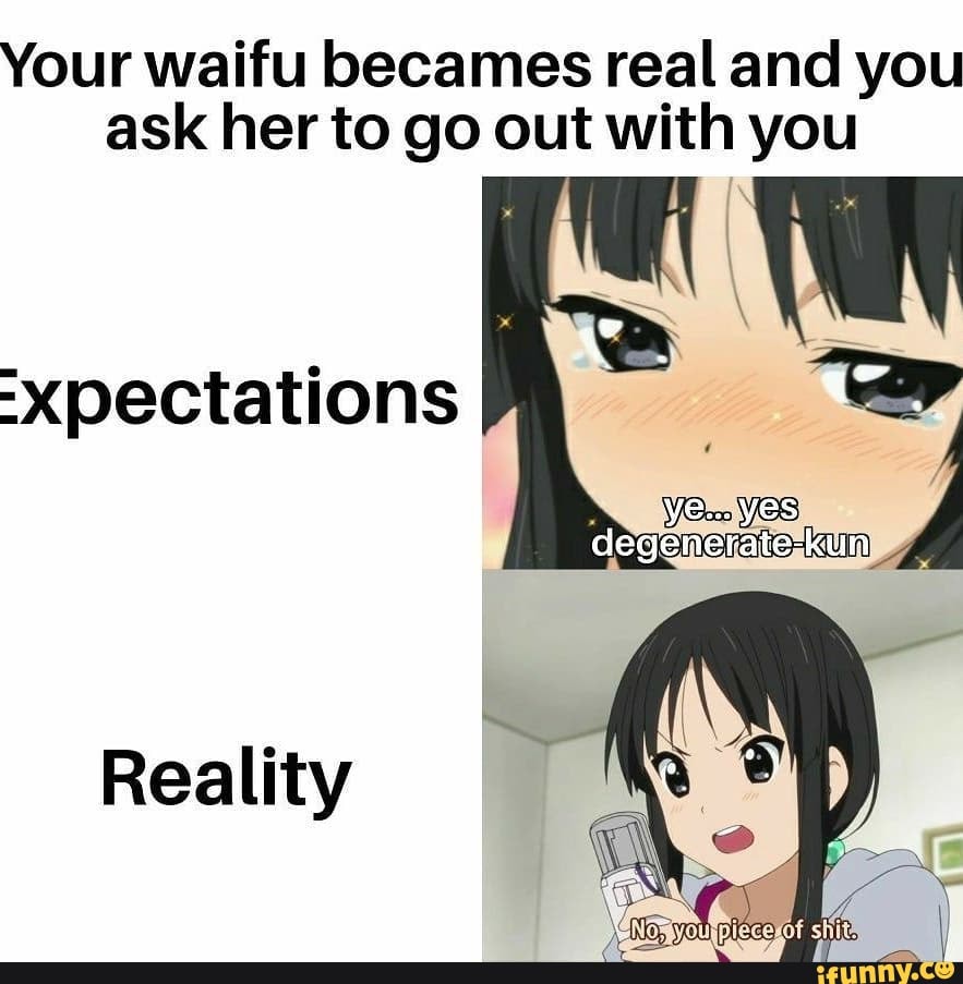 Your waifu becames real and you ask her to go out with you -xpectations ...