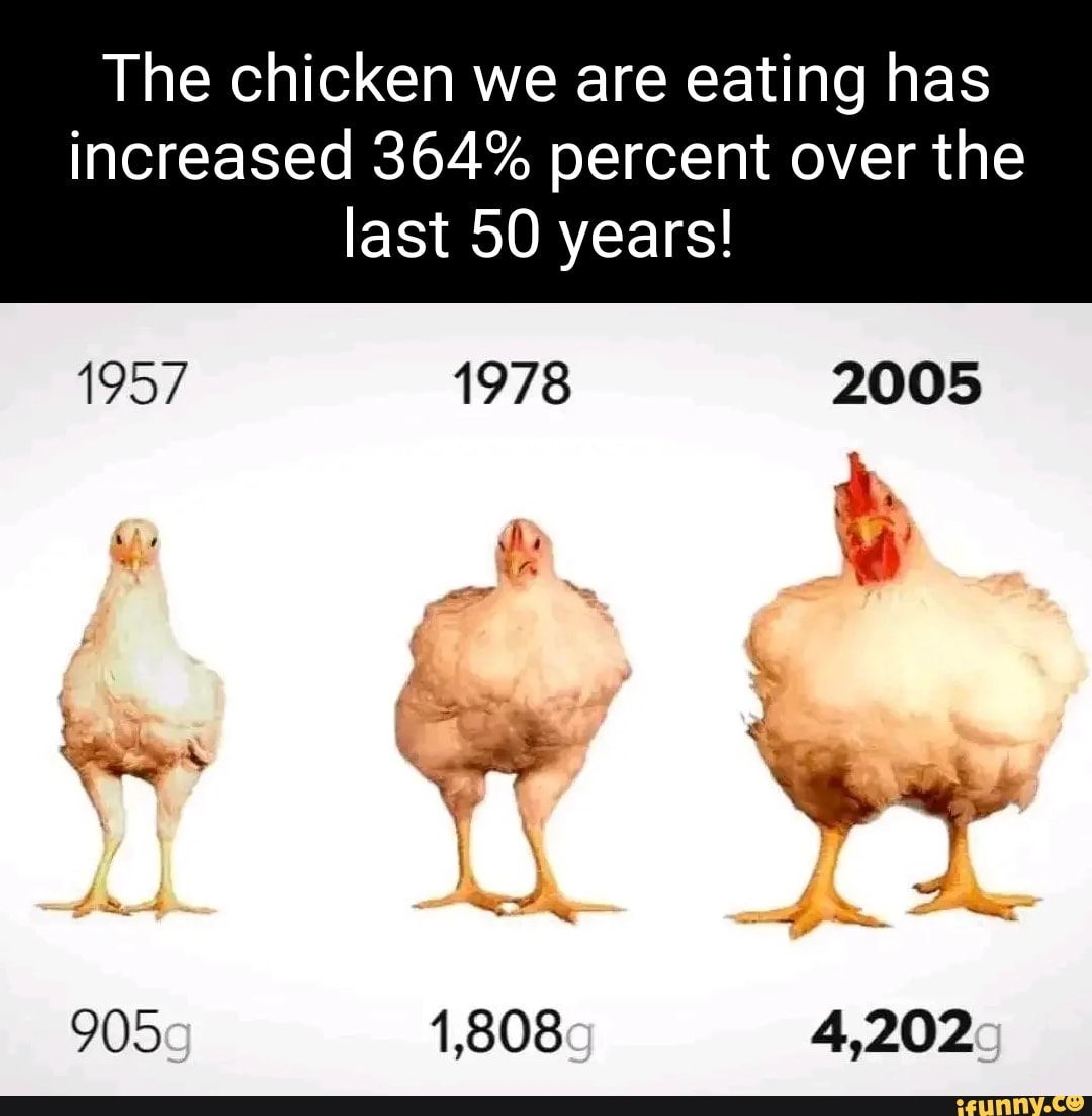 The chicken we are eating has increased 364% percent over the last 50 ...