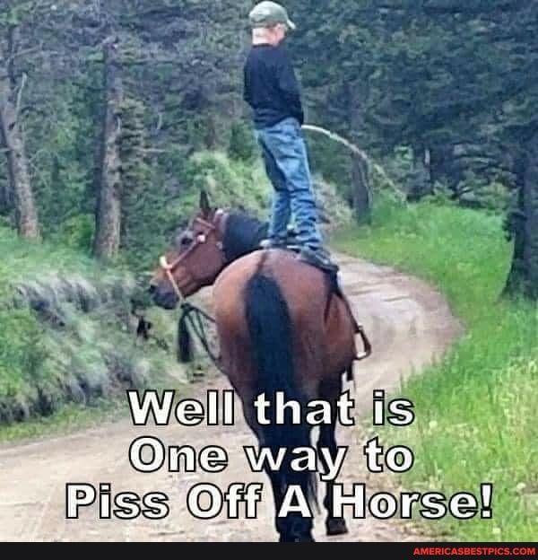 Well that is
One way to
Piss Off A Horse!