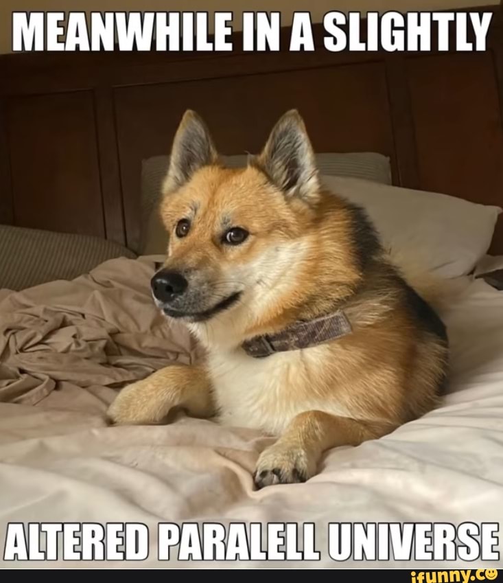 Paralell memes. Best Collection of funny Paralell pictures on iFunny