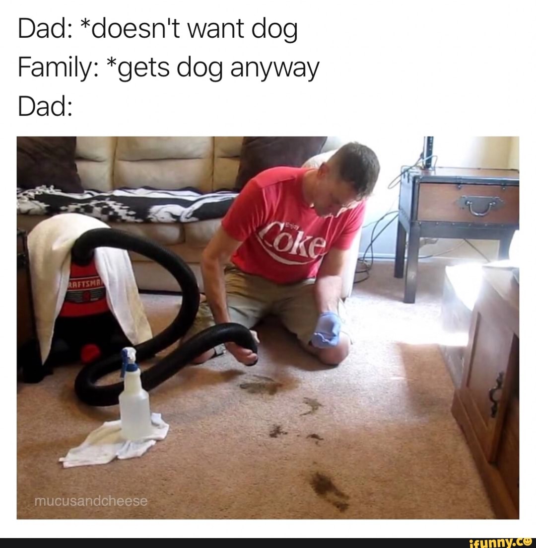 Dad: *doesn't want dog Family: *gets dog anyway - iFunny