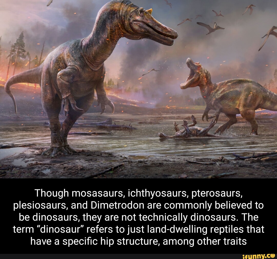 Though mosasaurs, ichthyosaurs, pterosaurs, plesiosaurs, and Dimetrodon ...