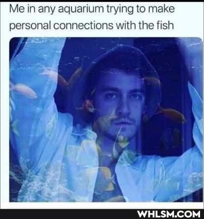 Me in any aquarium trying to make personal connections with the fish