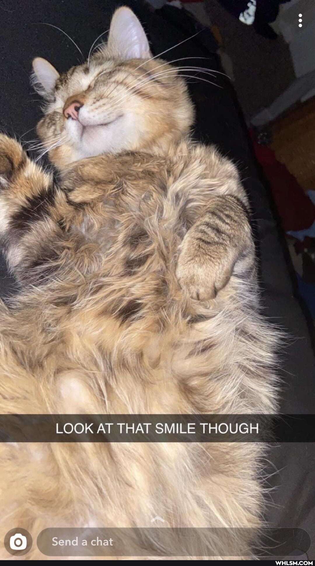 LOOK AT THAT SMILE THOUGH
Send a chat