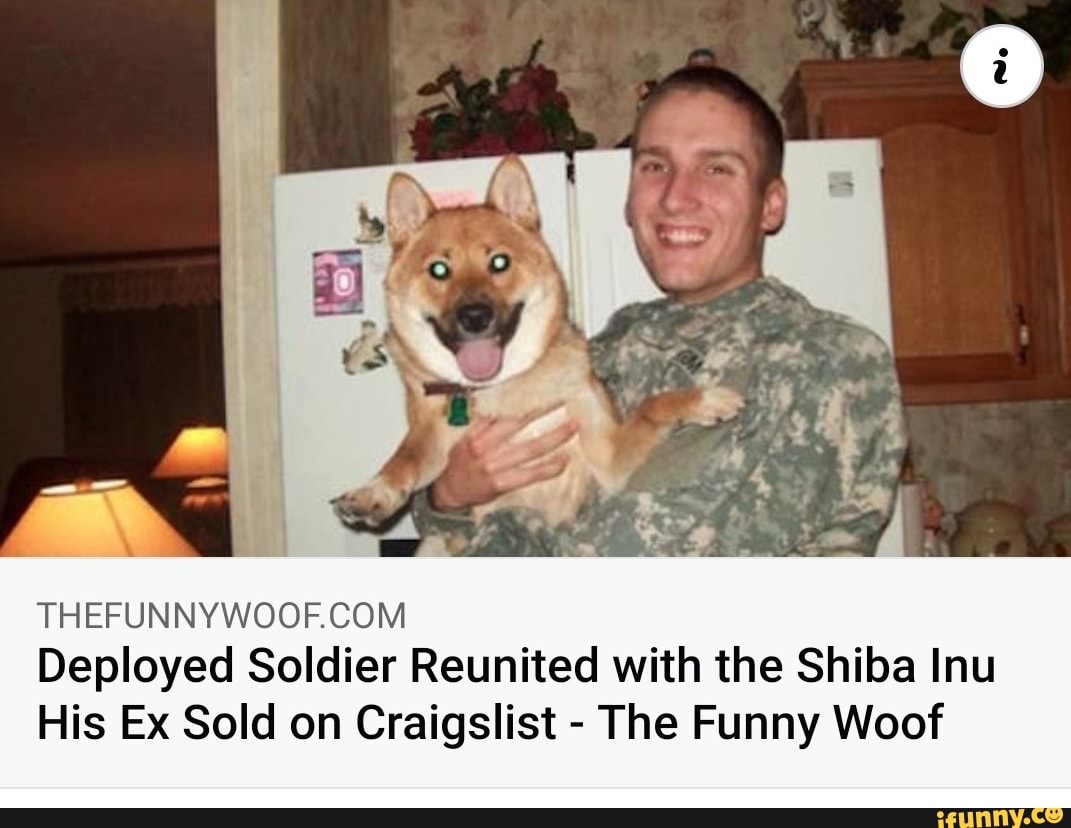 Deployed Soldier Reunited with the Shiba Inu
His Ex Sold on Craigslist - The Funny Woof
