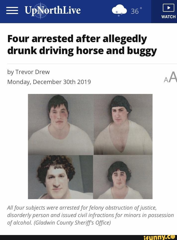 Four arrested after allegedly drunk driving horse and buggy by Trevor ...