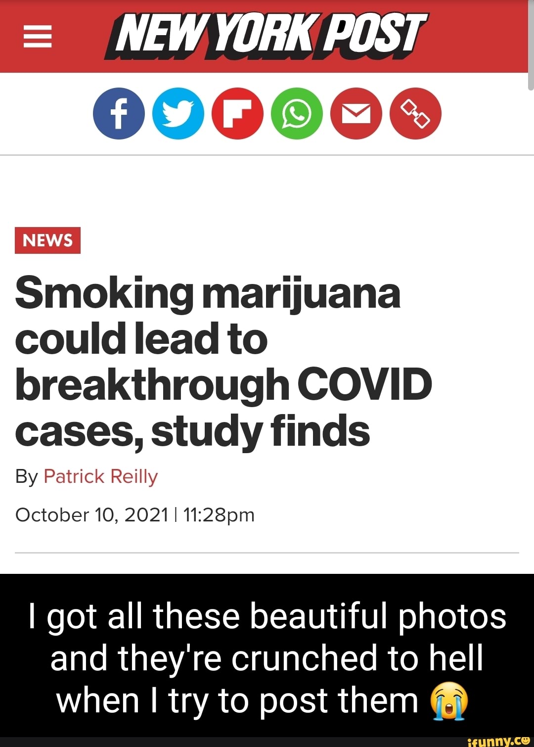 Beautiful bags case study picture