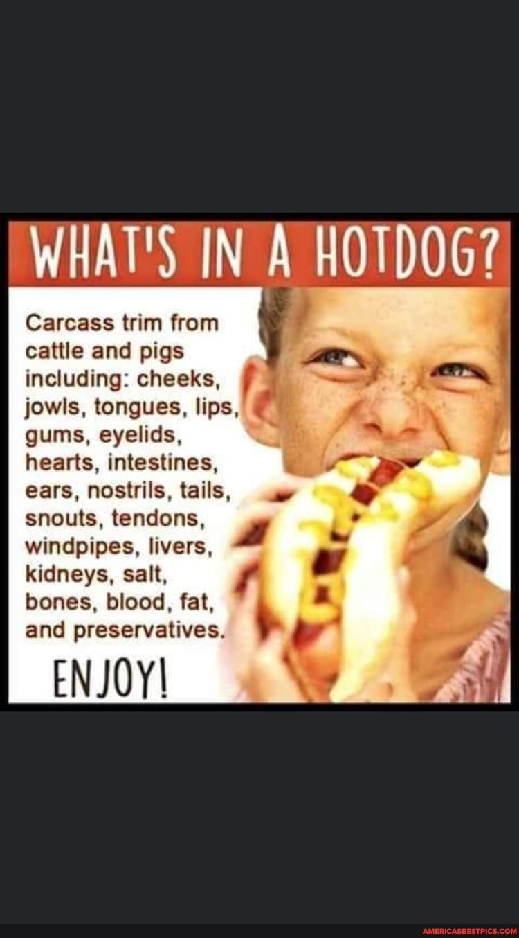 WHAT'S IN HOTDOG?
Carcass trim from cattle and pigs including: cheeks, jowls, tongues, lips, gums, eyelids, hearts, intestines, ears, nostrils, tails,
snouts, tendons, windpipes, livers, kidneys, salt, bones, blood, fat, and preservatives.
ENJOY!