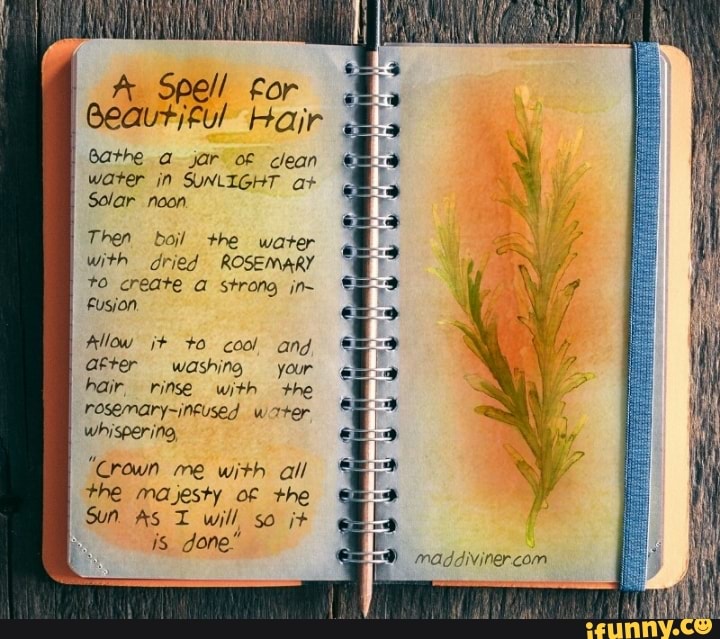 I
I Gathe a jar oe clean
I
water ¡n SUNLIGHT a+
Solar noon
Then bol +he water
with dried ROSEMARY
UT A ES NS
Fusion.
after washino yo
hair, rinse with a)
rosemary-ineused water
whispering,
"Crown me with al
the Majesty of the
Sun AS I will so i+