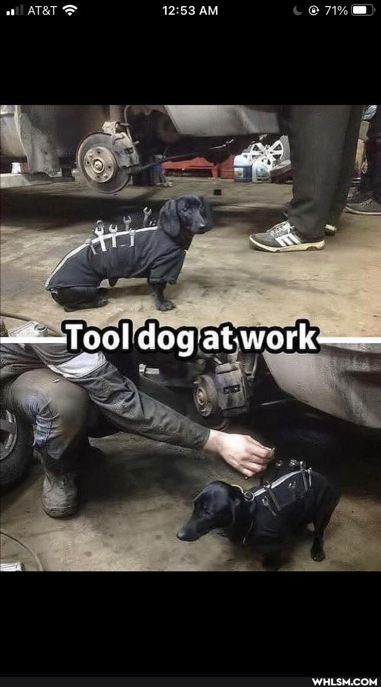 AM
OW
=--Toal dog at- work
