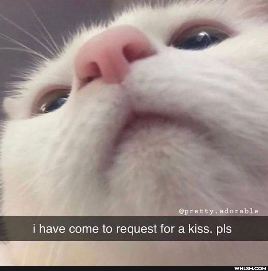 @pretty.adorable able
i have come to request for a kiss. pls