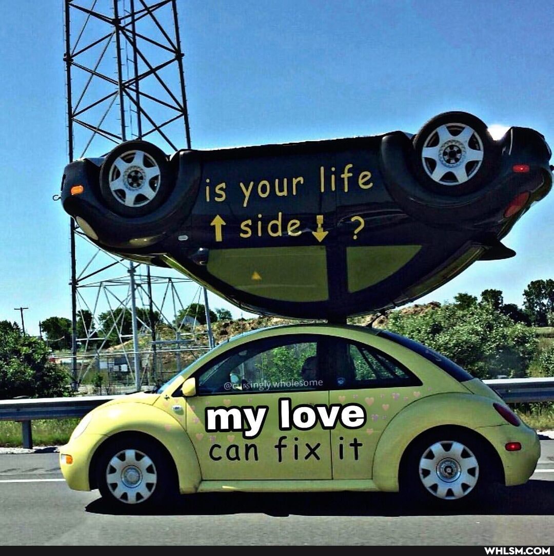 is your life
\can fix it,