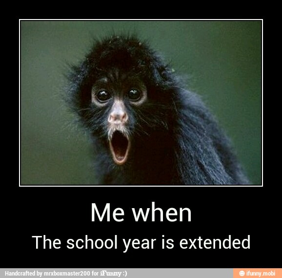 Me when
The school year is extended - Me when
The school year is extended