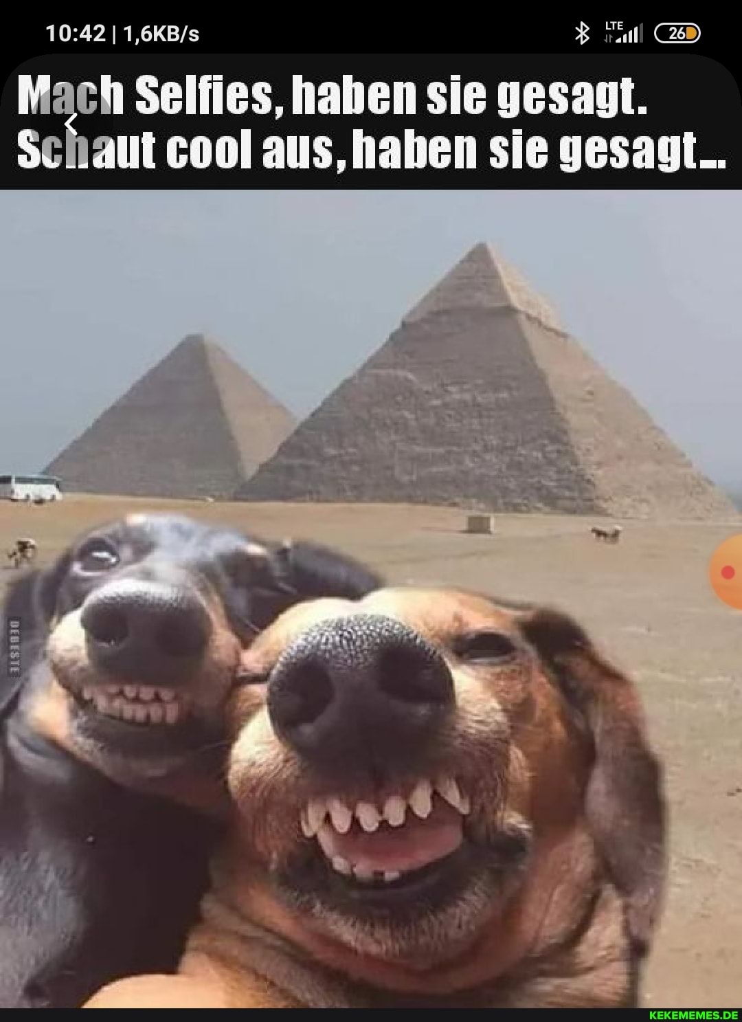 Mach Selfies, haben sie gesagt.
Schaut cool aus, haben sie gesagt..