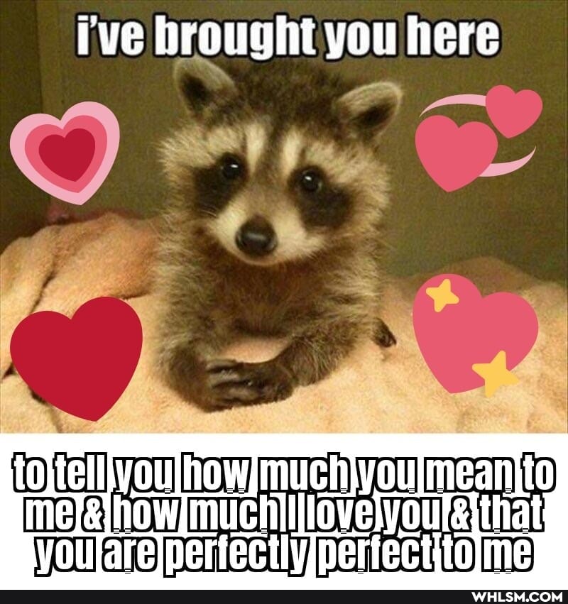 I've brought you here
you
oyelyoursitha vollareIpertectlypertectitolme