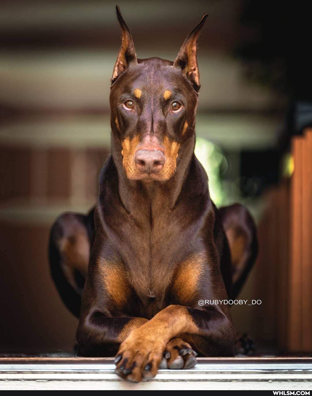 ERUBYDOOBY DO