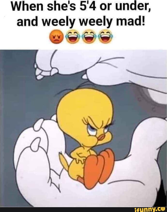 Memes Tweety Angry Birds Meme: When Your Mom Calls You